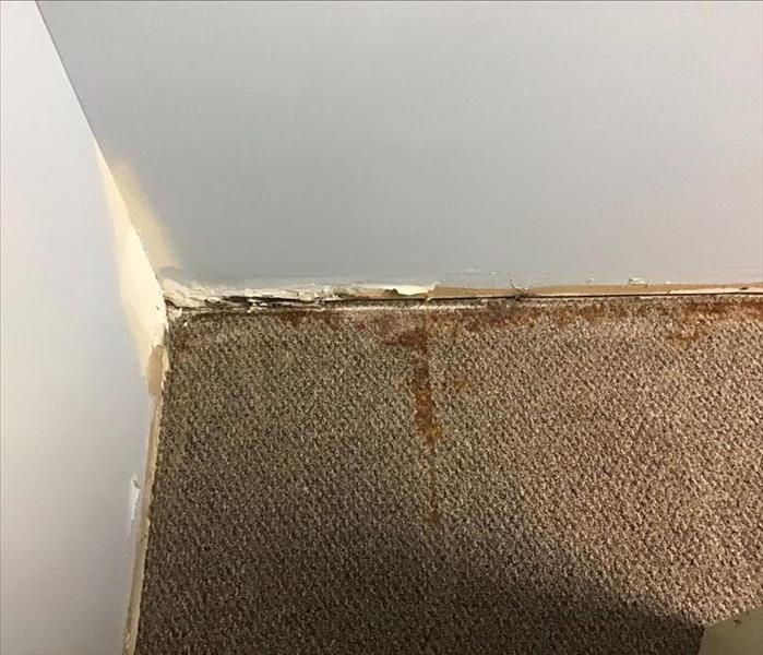 Floor in the corner of an office with rust stained carpet