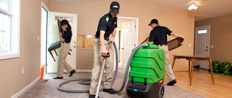 Sparta, MI cleaning services